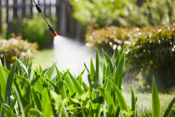 Tamper-Resistant Bait Stations for Rodents in Gower