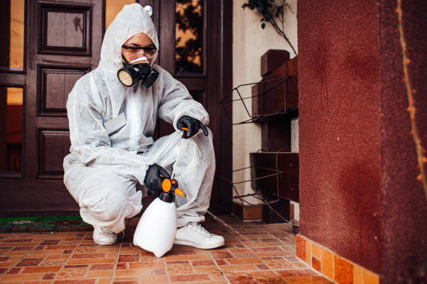 Attic and Crawl Space Rodent Treatment in Gower