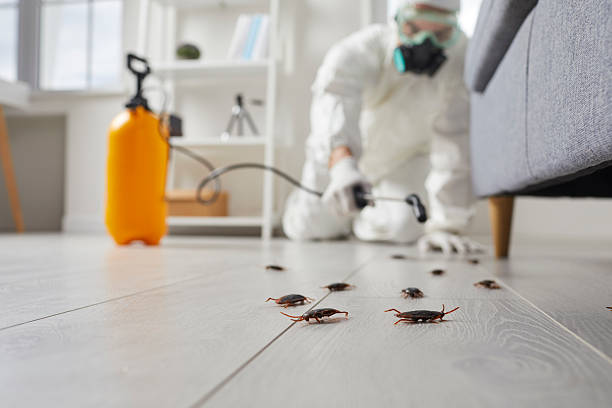 Commercial Rodent Management in Gower